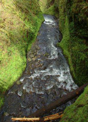 DSC_0433.jpg