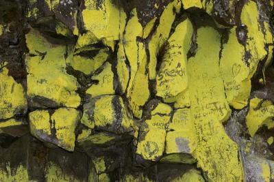 lichen and graffiti