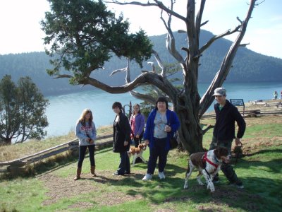 Washington Park Lookout