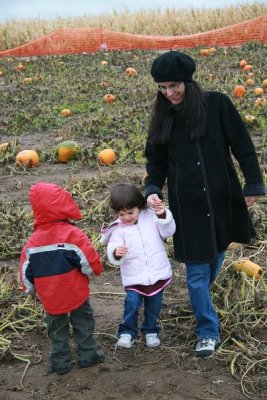 Searching for the perfect pumpkins