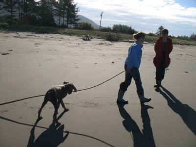 using kelp to catch a Gromit