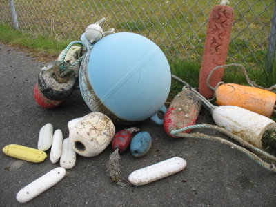 a week's worth of beach combing