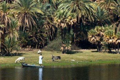 Timeless Nile.