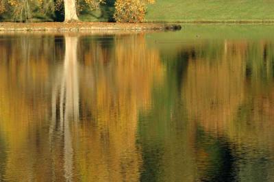 Autumn Reflection