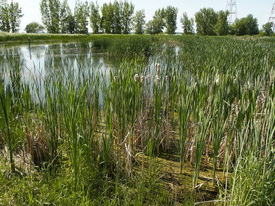 g3/39/543439/3/124256389.2SUtbALX.jpg
