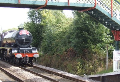 46201 Princess Elizabeth