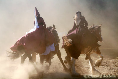 20090905_2580 Caroussel des dames.jpg