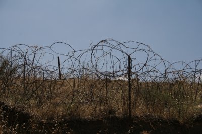 IMG_3589 barbed wire.JPG