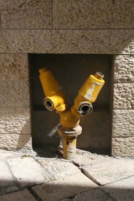 IMG_5028 hydrant