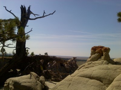 Ranch_Aug2009_0011.jpg