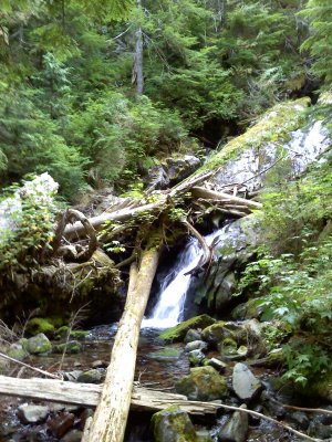 Wash_09-23-2009_0001.jpg