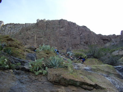 Hike_02-01-2010_0015.JPG