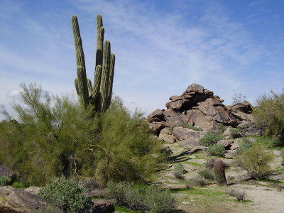 Hike_03-01-2010_0031.JPG