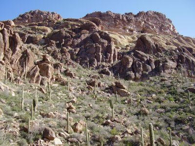 Hike_03-05-2010_0009.JPG