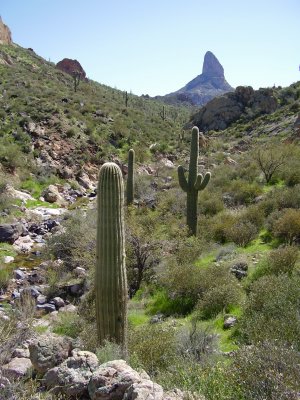 Hike_03-05-2010_0037.JPG