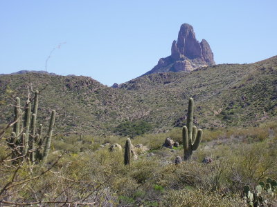 Hike_03-05-2010_0040.JPG