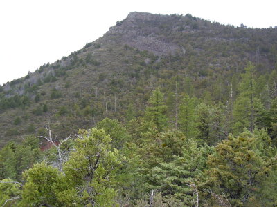 Hike 3-23-2010_0007.JPG