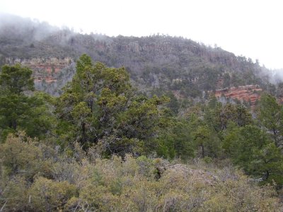 Hike 3-23-2010_0010.JPG