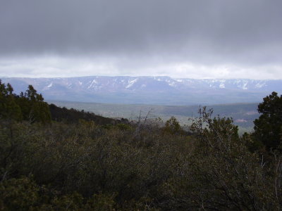 Hike 3-23-2010_0013.JPG
