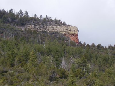 Hike 3-23-2010_0014.JPG