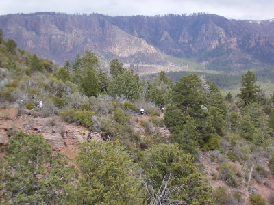 Hike 3-23-2010_0015.JPG