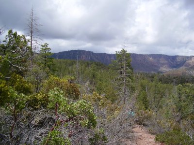 Hike 3-23-2010_0017.JPG
