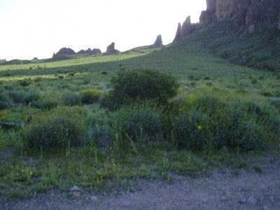Hike_4-3-2010_0002.JPG