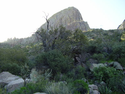 Hike_4-3-2010_0012.JPG