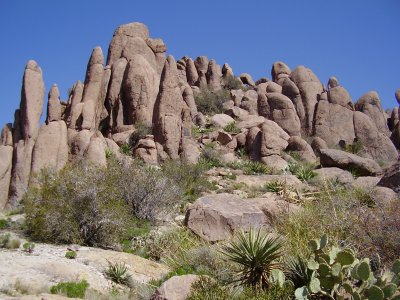 Hike_4-3-2010_0014.JPG