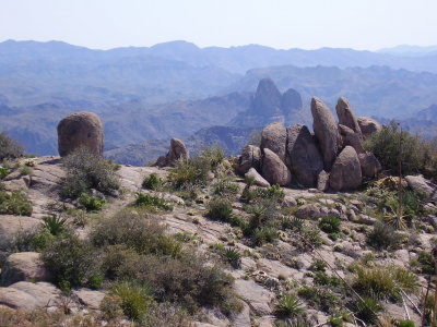 Hike_4-3-2010_0015.JPG