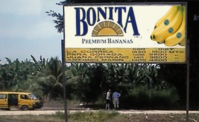 Bonita Banana