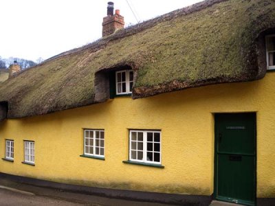 Yellow Thatched House