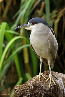 g3/39/602139/3/55289939.IMG_9614_filtereda.jpg