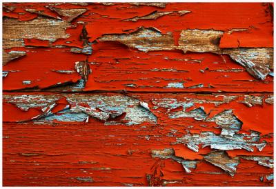 Corrosion and decay 11
