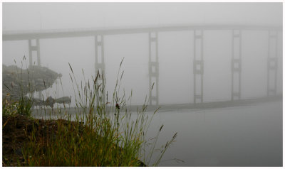 Bridge in the fog