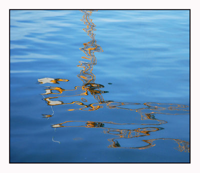 Spring reflections # 4