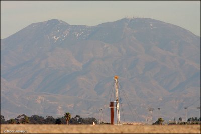 saddleback1.jpg
