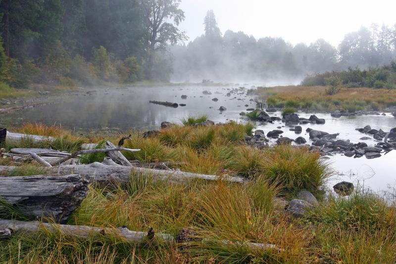 Misty River 