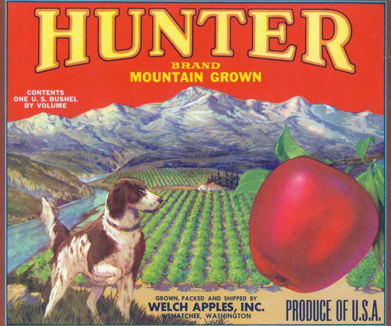 Hunter Brand   Welch  Apples ( Wenatchee Packing House)