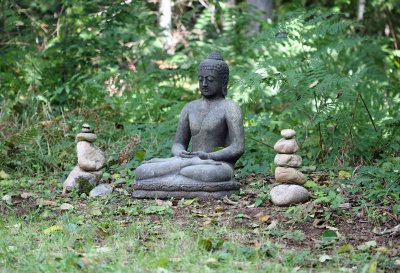 Rare  Budda  Found In North West Forest