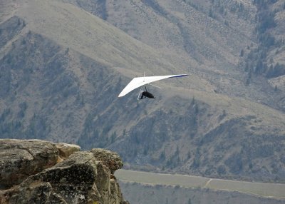 Hang Glider Soars  Off Top Of Butte