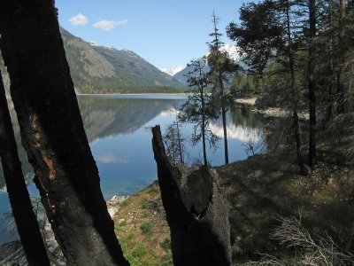 Burnt Logs Show How Close Fire Was To Stehekin!!!!