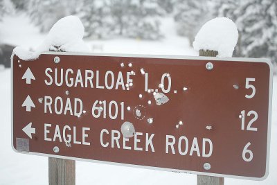  Road Signs 