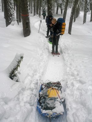 Looking Back,,, My Sled Behind Me