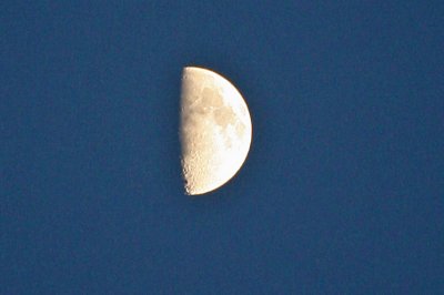 Moon For Our Trip,,, Lot's Of Light For Night Snowshoeing