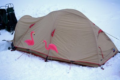 Loren And Becky's Old Moss Tent