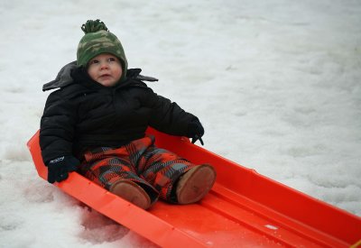 Future Musher In Training!!