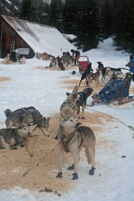 IMG_7909 copy.jpg