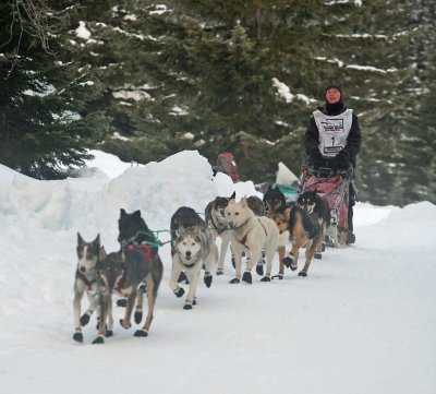  Cascade Quest  Sled  Dog  Races