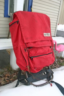 Alpine Designs Backpack